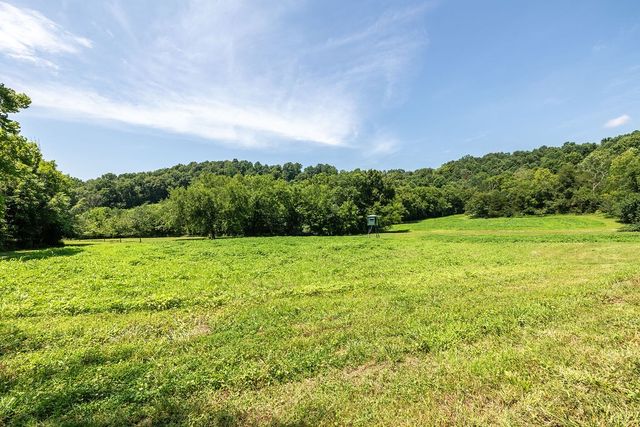 394 Young Hollow Rd, Pulaski, TN 38478