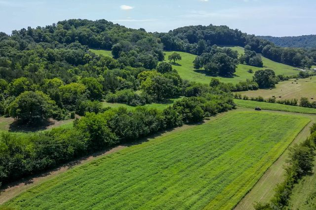 394 Young Hollow Rd, Pulaski, TN 38478