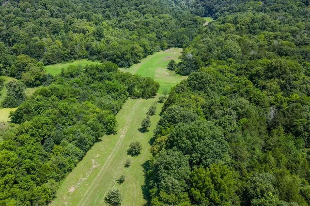 394 Young Hollow Rd, Pulaski, TN 38478