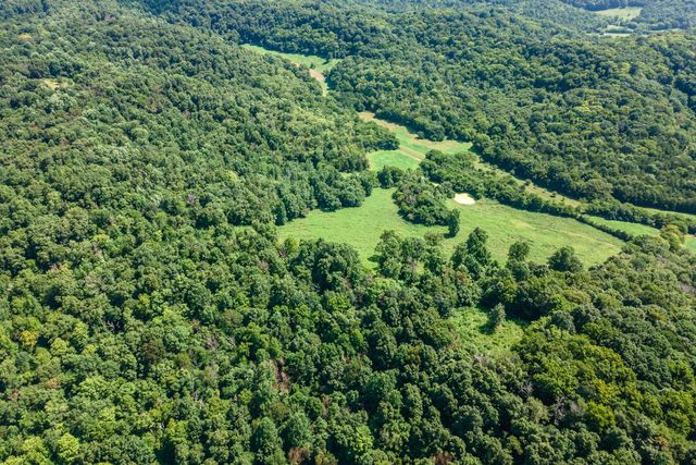 394 Young Hollow Rd, Pulaski, TN 38478
