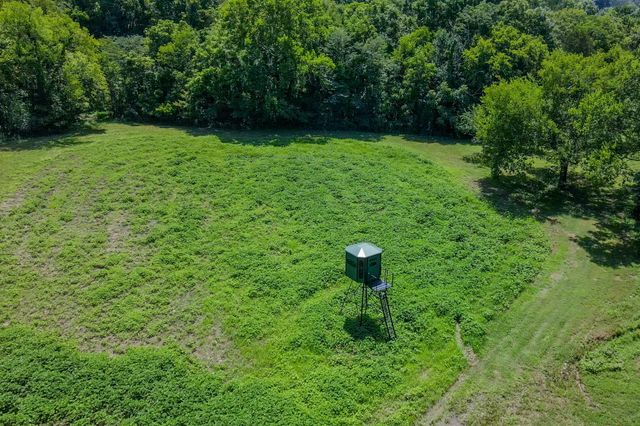 394 Young Hollow Rd, Pulaski, TN 38478