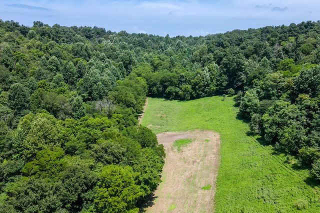 394 Young Hollow Rd, Pulaski, TN 38478
