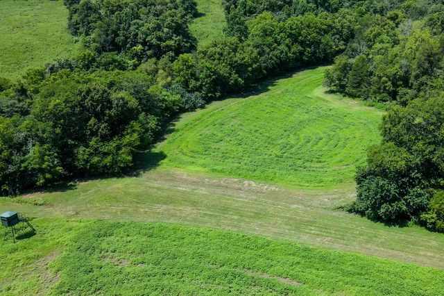 394 Young Hollow Rd, Pulaski, TN 38478