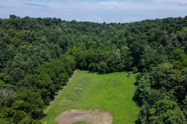394 Young Hollow Rd, Pulaski, TN 38478