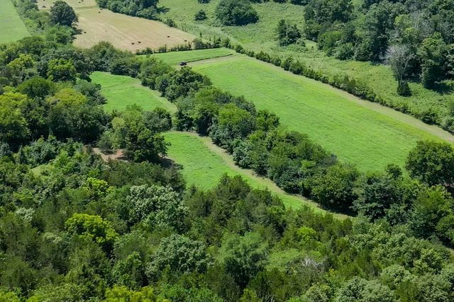394 Young Hollow Rd, Pulaski, TN 38478