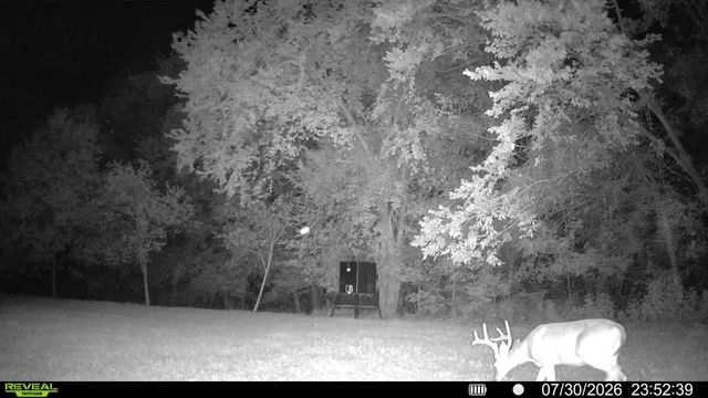 394 Young Hollow Rd, Pulaski, TN 38478