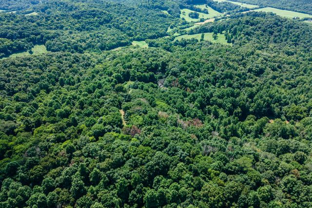 394 Young Hollow Rd, Pulaski, TN 38478