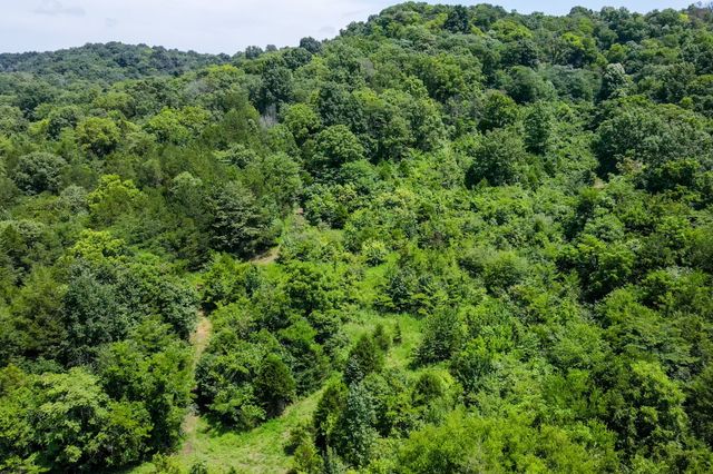 394 Young Hollow Rd, Pulaski, TN 38478