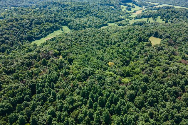 394 Young Hollow Rd, Pulaski, TN 38478