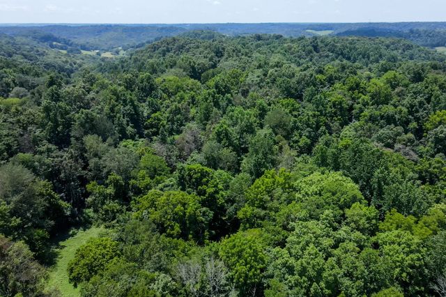 394 Young Hollow Rd, Pulaski, TN 38478