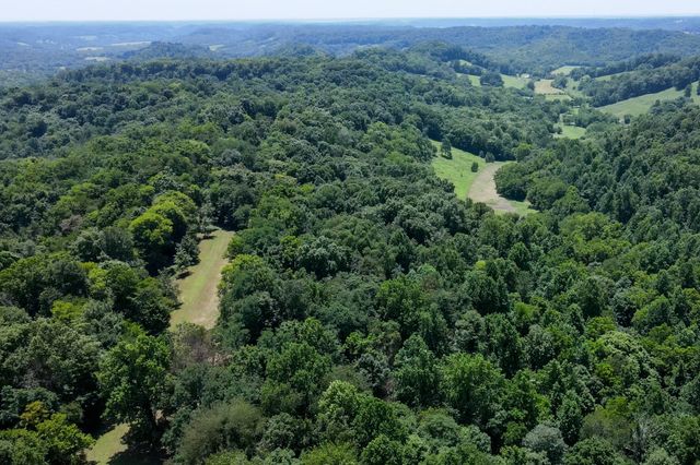 394 Young Hollow Rd, Pulaski, TN 38478