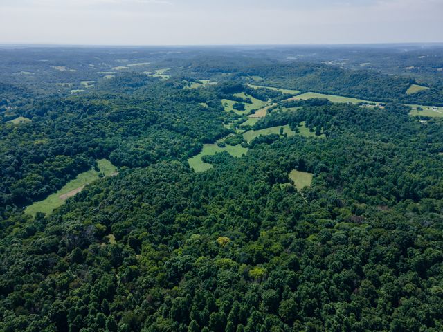 394 Young Hollow Rd, Pulaski, TN 38478