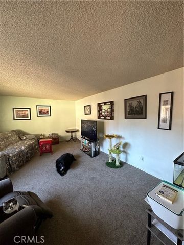 1008 Meier Drive, Chico, CA 95926