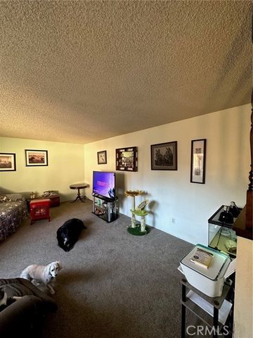 1008 Meier Drive, Chico, CA 95926