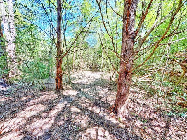 000 Cr 3495, Lovelady, TX 75851