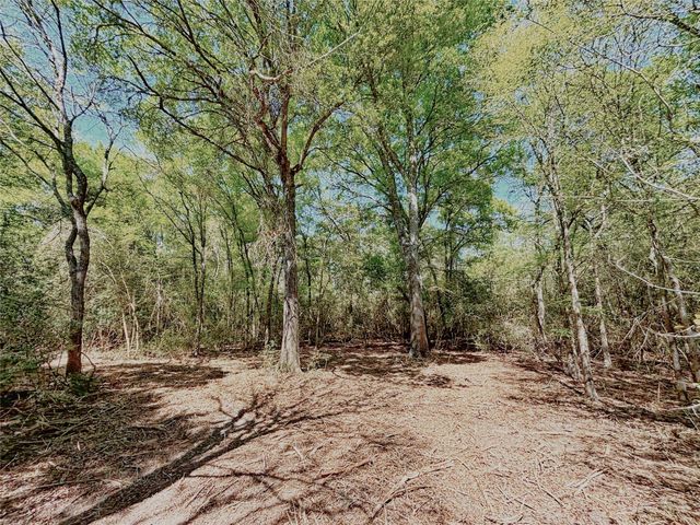 000 Cr 3495, Lovelady, TX 75851