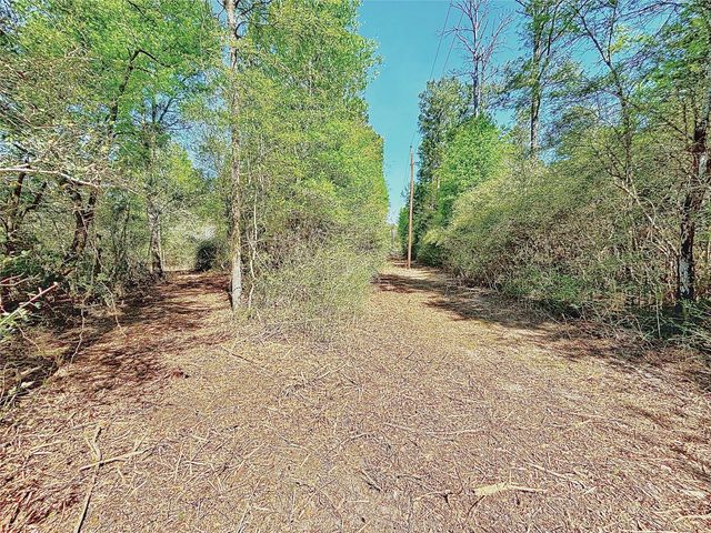 000 Cr 3495, Lovelady, TX 75851