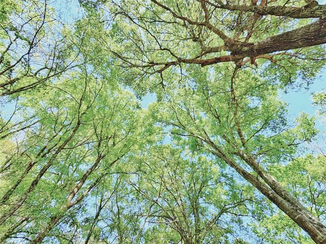 000 Cr 3495, Lovelady, TX 75851