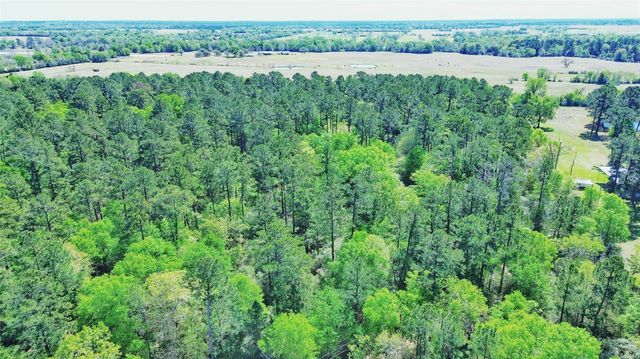 000 Cr 3495, Lovelady, TX 75851