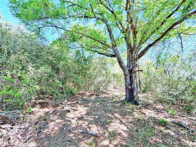 000 Cr 3495, Lovelady, TX 75851