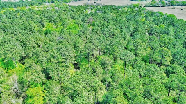 000 Cr 3495, Lovelady, TX 75851