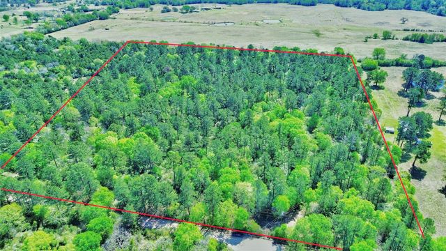 000 Cr 3495, Lovelady, TX 75851