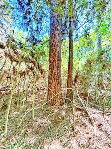 000 Cr 3495, Lovelady, TX 75851