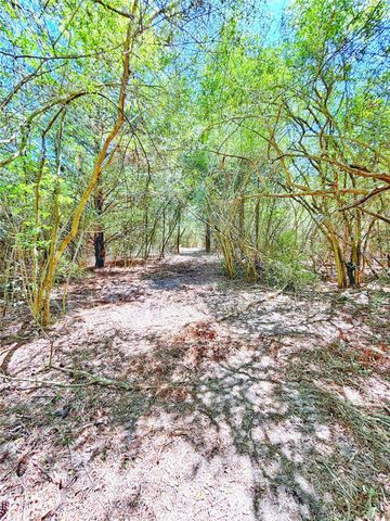 000 Cr 3495, Lovelady, TX 75851