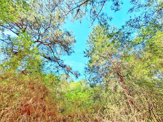 000 Cr 3495, Lovelady, TX 75851