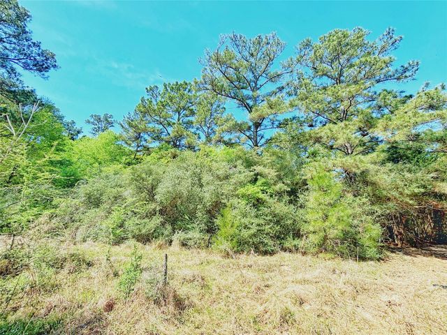 000 Cr 3495, Lovelady, TX 75851