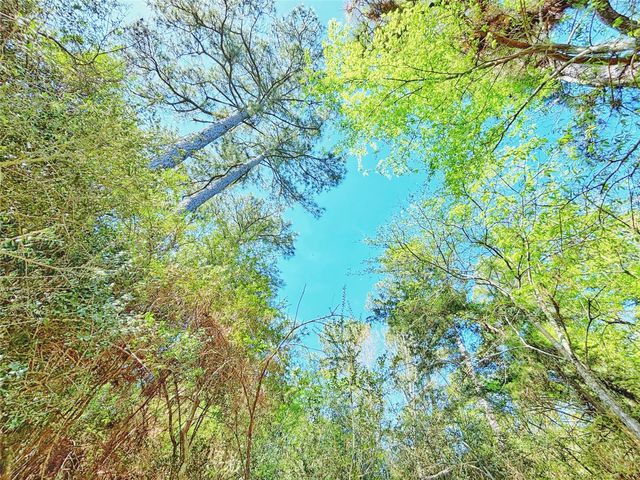 000 Cr 3495, Lovelady, TX 75851