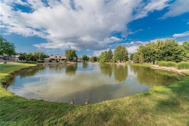 11432 Harbour Light Drive S 1, North Royalton, OH 44133