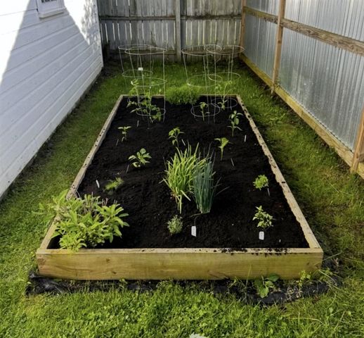 104 E Locust Street, Three Oaks, MI 49128