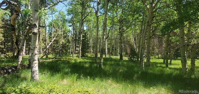 Lot 3085 Henderson Lane, Fort Garland, CO 81133