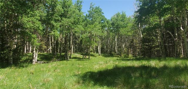 Lot 3085 Henderson Lane, Fort Garland, CO 81133
