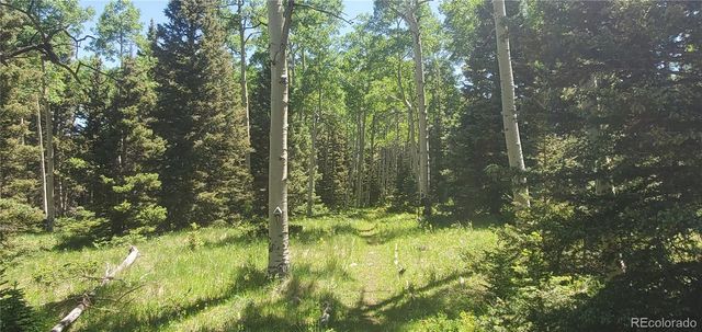 Lot 3085 Henderson Lane, Fort Garland, CO 81133