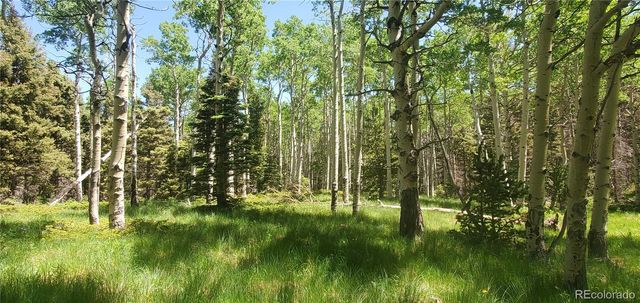 Lot 3085 Henderson Lane, Fort Garland, CO 81133