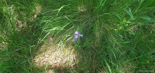 Lot 3085 Henderson Lane, Fort Garland, CO 81133