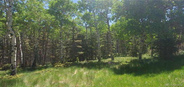 Lot 3085 Henderson Lane, Fort Garland, CO 81133