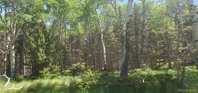 Lot 3085 Henderson Lane, Fort Garland, CO 81133