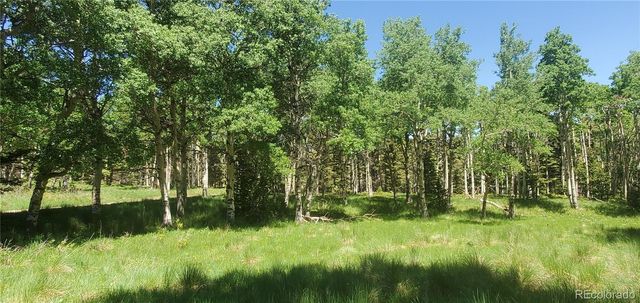 Lot 3085 Henderson Lane, Fort Garland, CO 81133