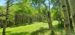 Lot 3085 Henderson Lane, Fort Garland, CO 81133