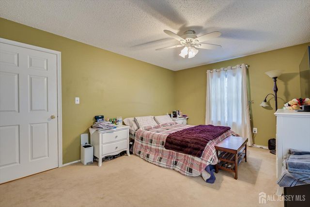 45 Amethyst Way, Franklin, NJ 08823