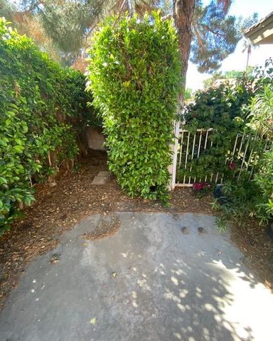 721 N Mallard Street, Chandler, AZ 85226