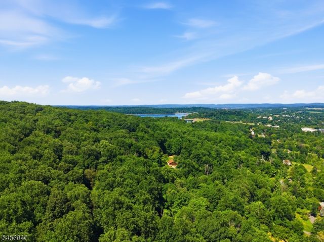 70 Old Mountain Rd, Clinton Twp., NJ 08833