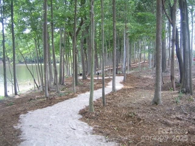 6147 Snowy Egret Avenue, Charlotte, NC 28214