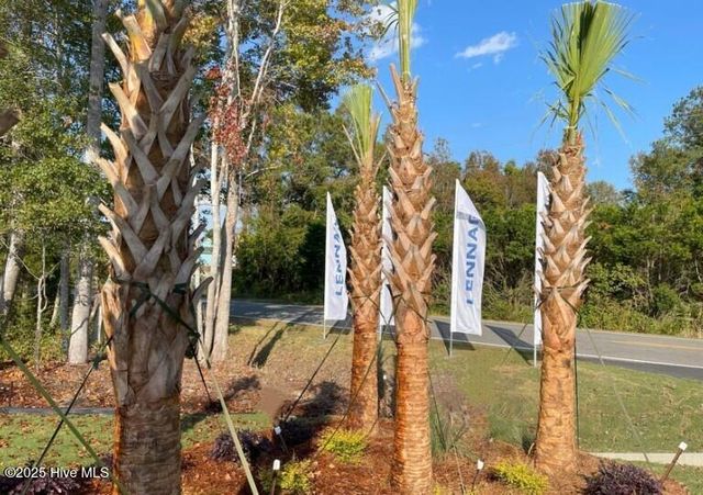 3357 Wood Stork Drive Litchfield Il Lot 79, Ocean Isle Beach, NC 28469
