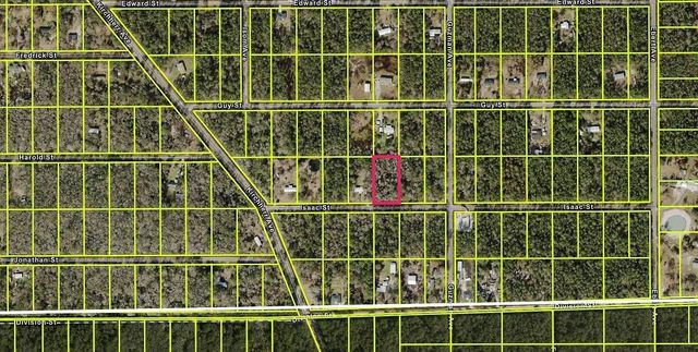 4220 Isaac Street, Hastings, FL 32145