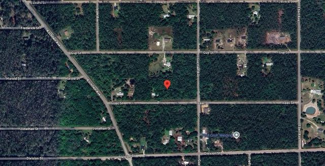 4220 Isaac Street, Hastings, FL 32145