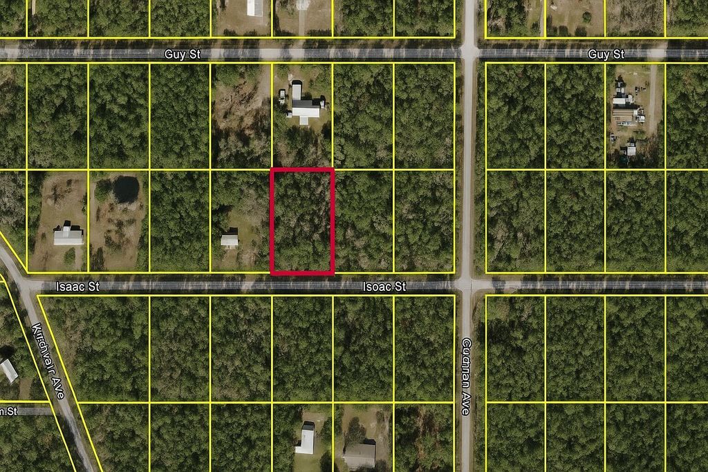 4220 Isaac Street, Hastings, FL 32145
